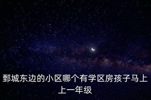 鄄城东边的小区哪个有学区房孩子马上上一年级