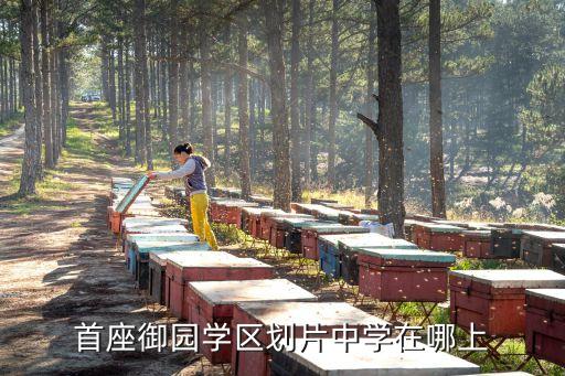 首座御园学区划片中学在哪上