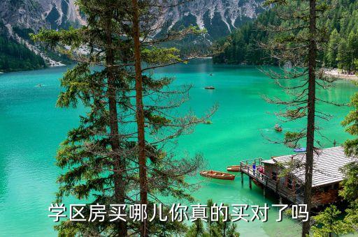 学区房位于哪个方位好呢，请教学区房的话买在哪比较好