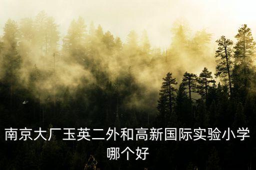南京大厂玉英二外和高新国际实验小学哪个好