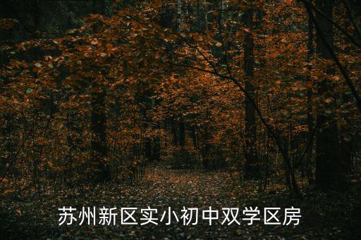 苏州新区实小初中双学区房