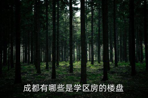 成都有哪些是学区房的楼盘