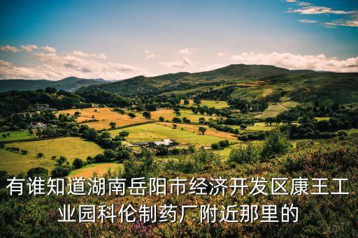 有谁知道湖南岳阳市经济开发区康王工业园科伦制药厂附近那里的