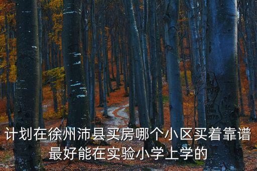 计划在徐州沛县买房哪个小区买着靠谱最好能在实验小学上学的