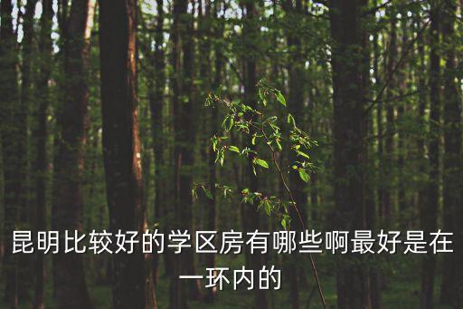 昆明比较好的学区房有哪些啊最好是在一环内的