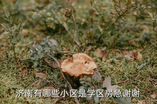 济南有哪些小区是学区房急谢谢