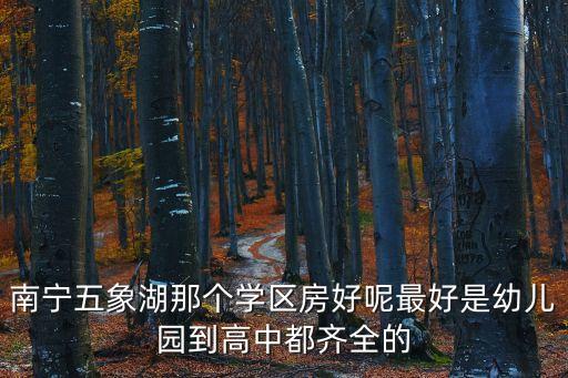 南宁双学区房哪个小区最好，刚结婚准备要宝宝了考虑到孩子以后的教育准备买学区房南宁现在