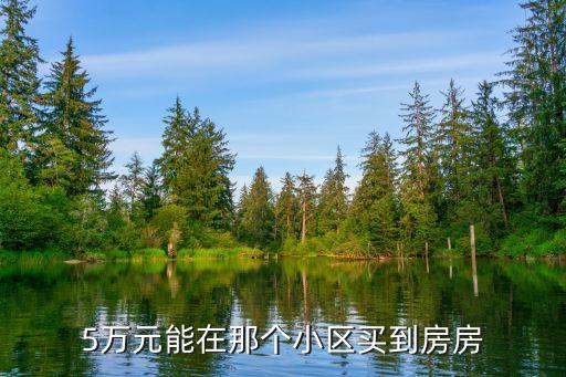 5万元能在那个小区买到房房
