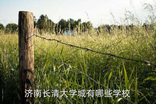 长清兰园是哪个学校学区房，济南长清那边有什么学区房推荐吗