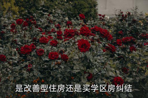 养老房子和学区房哪个好，请教关于学区房犹豫不决买没学区的新房还是有学区的老旧二手房