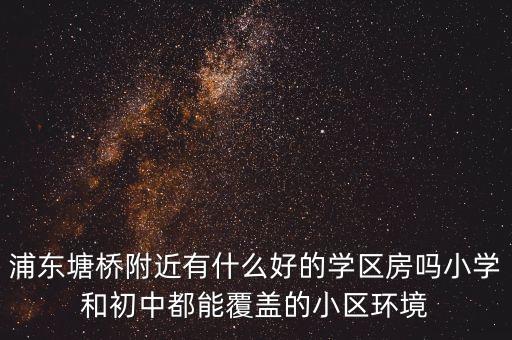 浦东塘桥附近有什么好的学区房吗小学和初中都能覆盖的小区环境