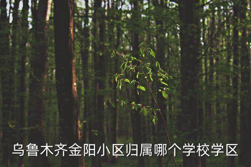 金阳的学区房都有哪些，贵阳市金阳区哪里有个学校他们说边上好像有个什么生活小区  搜