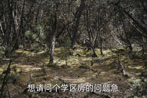 想请问个学区房的问题急