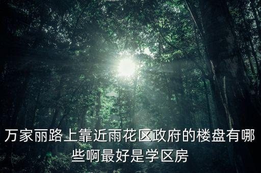 万家丽路上靠近雨花区政府的楼盘有哪些啊最好是学区房