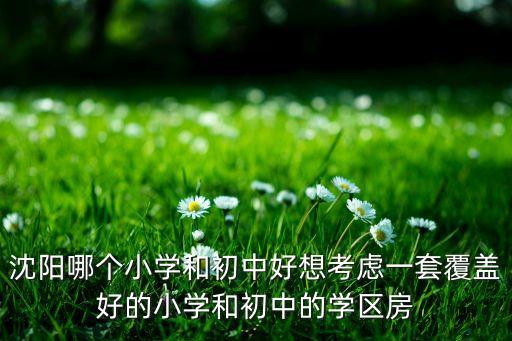 沈阳哪个小学和初中好想考虑一套覆盖好的小学和初中的学区房