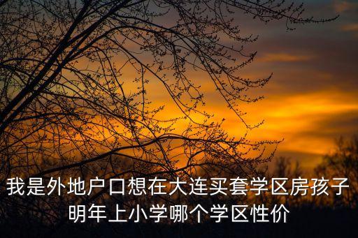 我是外地户口想在大连买套学区房孩子明年上小学哪个学区性价