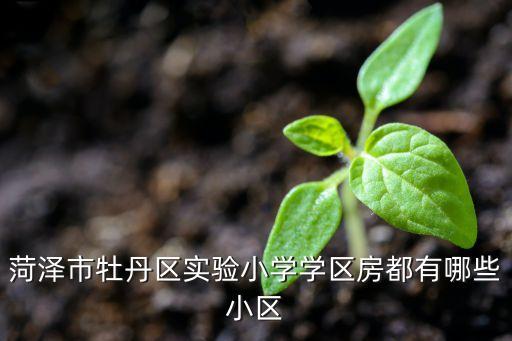 菏泽市牡丹区实验小学学区房都有哪些小区