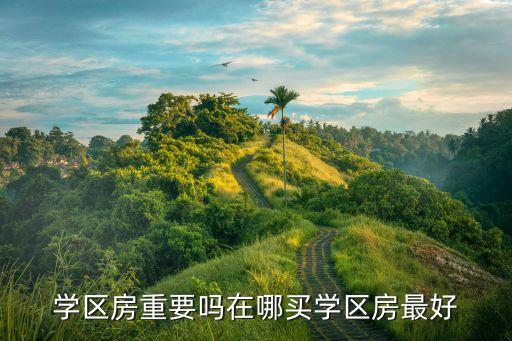 学区房重要吗在哪买学区房最好