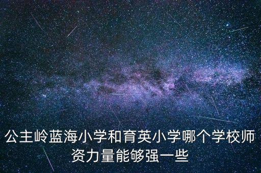 公主岭蓝海小学和育英小学哪个学校师资力量能够强一些