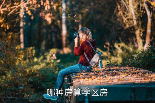 哪种房算学区房
