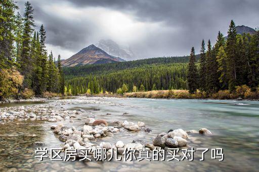 学区房买哪儿你真的买对了吗