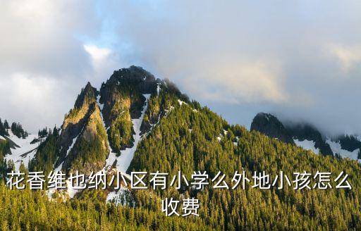 维也纳二手房是哪个学区，昌吉金城维也纳小区中学学区属于哪个中学