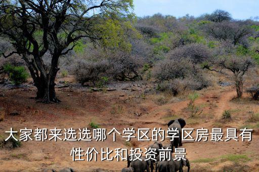东莞石井哪个小学区房好，孩子要上小学了要买学区房了有没有好点的推荐一下最好是学校