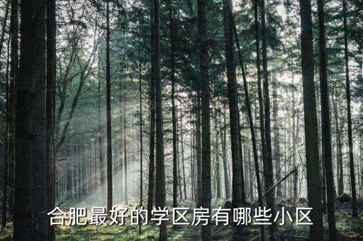 合肥最好的学区房有哪些小区