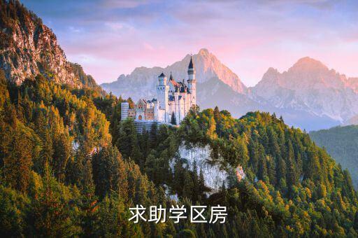 求助学区房