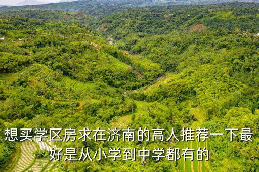 想买学区房求在济南的高人推荐一下最好是从小学到中学都有的