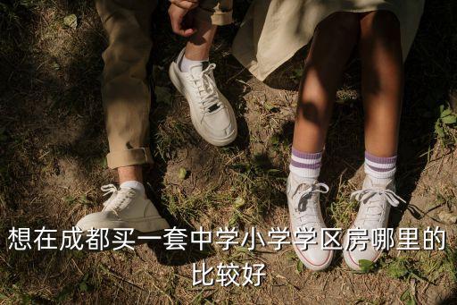 想在成都买一套中学小学学区房哪里的比较好
