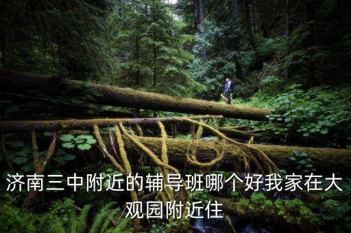 学区房哪个培训班好，济南三中附近的辅导班哪个好我家在大观园附近住