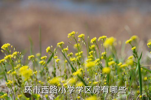 环市西路小学学区房有哪些
