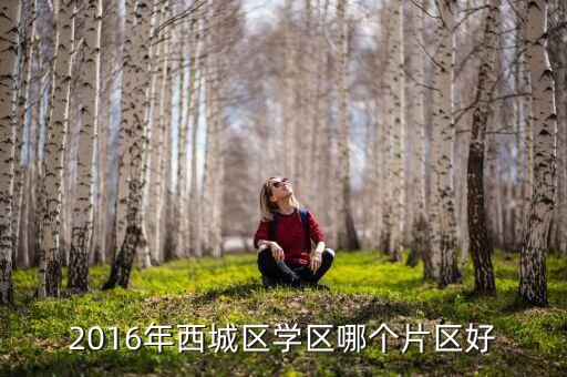 2016年西城区学区哪个片区好