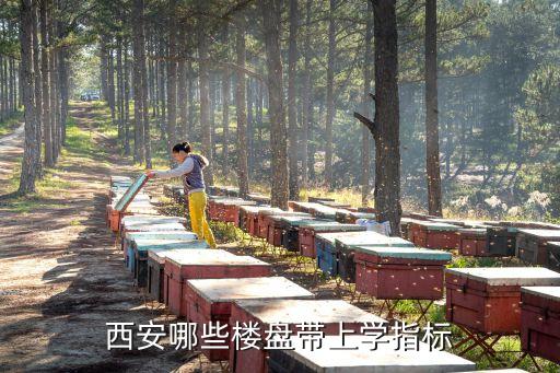 西安哪个小区的学区房最好，求带居住功能的学区房子哪个区比较好