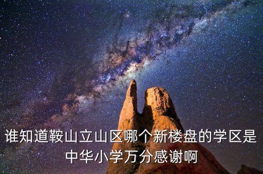 谁知道鞍山立山区哪个新楼盘的学区是中华小学万分感谢啊
