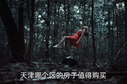 天津哪个区的房子值得购买