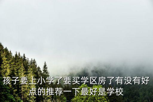 孩子要上小学了要买学区房了有没有好点的推荐一下最好是学校