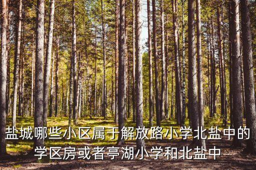 盐城哪些公寓有学区房，请问盐城中盐中校区房的小区有哪几个
