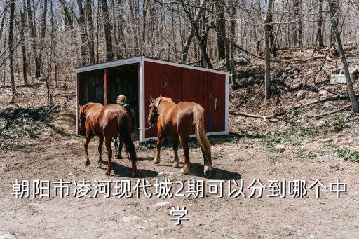 朝阳哪个学区房便宜，朝阳区什么地方房价最便宜啊
