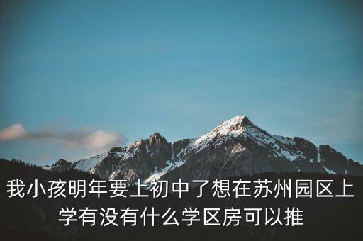 我小孩明年要上初中了想在苏州园区上学有没有什么学区房可以推