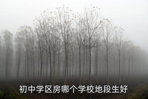 初中学区房哪个学校地段生好