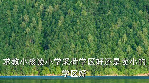 求教小孩读小学采荷学区好还是卖小的学区好