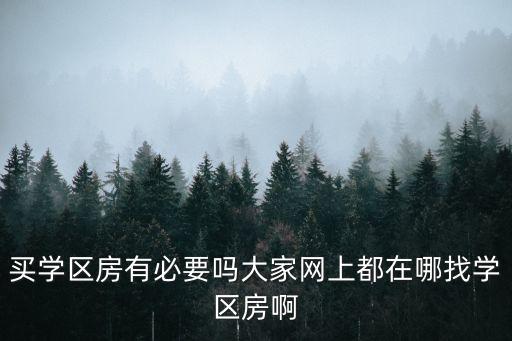 买学区房有必要吗大家网上都在哪找学区房啊