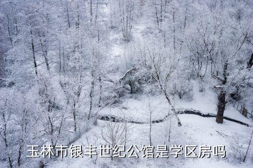 玉林市银丰世纪公馆是学区房吗