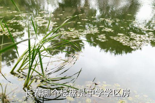 长春哪个楼盘是中学学区房