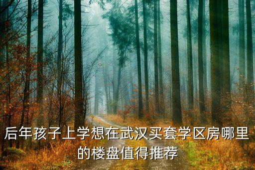 后年孩子上学想在武汉买套学区房哪里的楼盘值得推荐