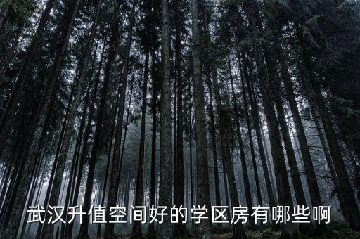 武汉升值空间好的学区房有哪些啊