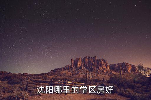在沈阳买哪个区学区房好，沈阳哪里的学区房好