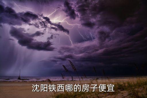 沈阳铁西哪的房子便宜